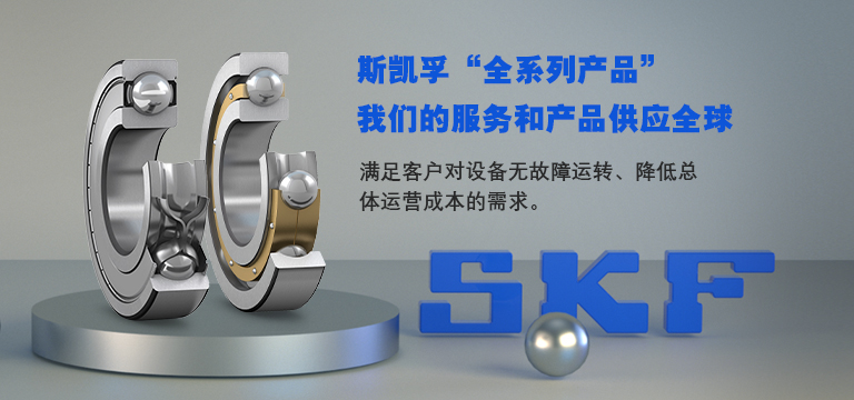 上海百毅轴承有限公司 
